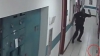 Prins în flagrant. Momentul în care un poliţist se sperie de un şoarece şi o rupe la fugă (VIDEO)