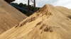 Lumea rămâne fără nisip! MOTIVUL pentru care mai multe ţări au interzis exportul de nisip