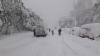 Chișinăul s-a rupt în două. MII DE COPACI S-AU PRĂBUȘIT sub greutatea zăpezii