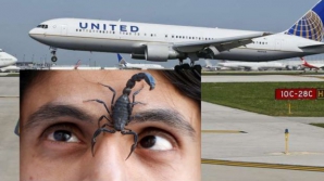 PANICĂ şi GROAZĂ la bordul unui avion. Un pasager a fost înţepat de un scorpion