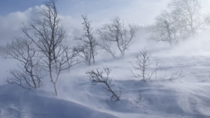 PRĂPĂD PE DRUMURI! Pasagerii unui autocar sunt BLOCAȚI ÎN NĂMEȚI de 16 ORE. E ÎNGROZITOR ce spun aceștia 