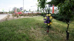 Peste 3.000 de cruci şi monumente de pe marginea şoselelor din ţară au fost demontate