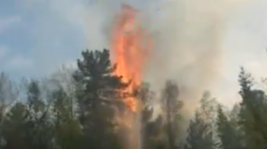 Incendii de pădure în Rusia. Flăcările din Buriatia s-au extins pe o suprafaţă de patru hectare