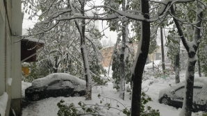 Igor Dodon a cerut ARMATEI să se implice in soluționarea problemelor cauzate de zăpadă în Republica Moldova