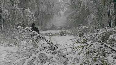 O nouă ședință a CELULEI DE CRIZĂ a Guvernului. AUTORITAȚILE INTERVIN ÎN FORȚĂ