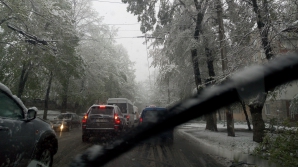 Troleibuze BLOCATE pe strada Gheorghe Asachi din Capitală (VIDEO)