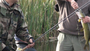 Braconieri PRINȘI ÎN FLAGRANT! Au prejudiciat statul cu 9.000 de lei (VIDEO)