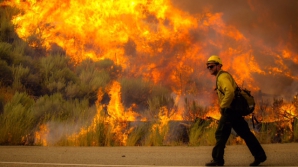 PÂRJOL în statul american Arizona. Un bărbat ar fi provocat INCENDIUL după ce a tras dintr-o ARMĂ DE FOC