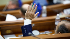 A doua rundă de audieri publice pentru Votul Uninominal. Cele mai importante DECLARAŢII