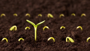 O zi de primăvară hrăneşte un an. În satul Cigârleni din raionul Ialoveni, s-a desfăşurat Târgul seminţelor vii