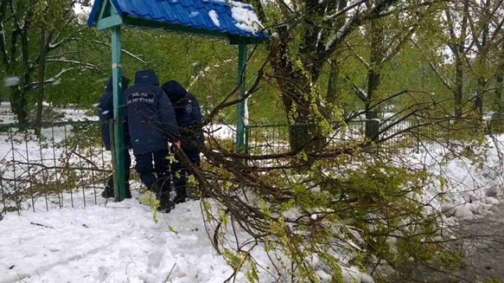 Polițiștii de frontieră, implicați în prevenirea efectelor create de condițiile meteorologice din țară (GALERIE FOTO)