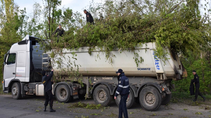 FORFOTĂ MARE în Chişinău. Salvatori, militari şi poliţişti muncesc din greu pentru a face ordine după ninsorile din aprilie