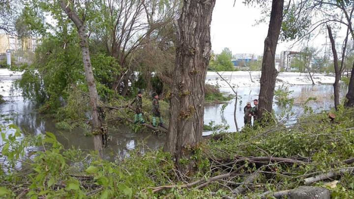 Situaţia la ORA ACTUALĂ, ca urmare a NINSORILOR.  244 de sate, fără curent electric (GALERIE FOTO)