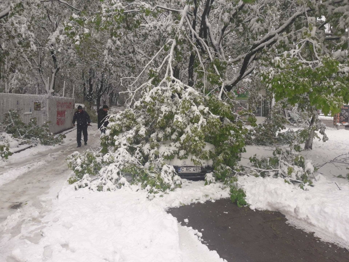 SUTE DE LOCALITĂŢI au rămas fără curent electric din cauza ninsorii. Care este situaţia în țară (FOTO)