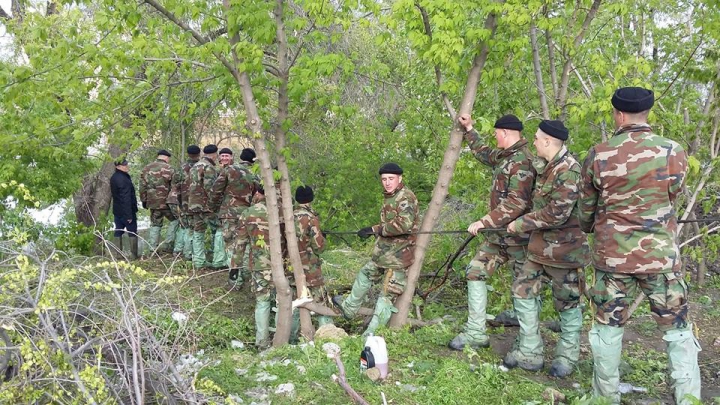 Situaţia la ORA ACTUALĂ, ca urmare a NINSORILOR.  244 de sate, fără curent electric (GALERIE FOTO)