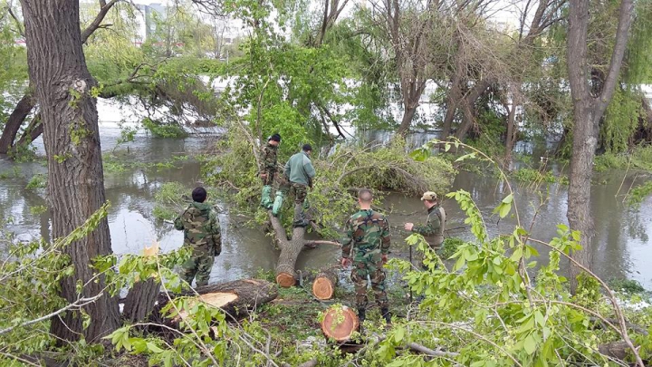 Situaţia la ORA ACTUALĂ, ca urmare a NINSORILOR.  244 de sate, fără curent electric (GALERIE FOTO)