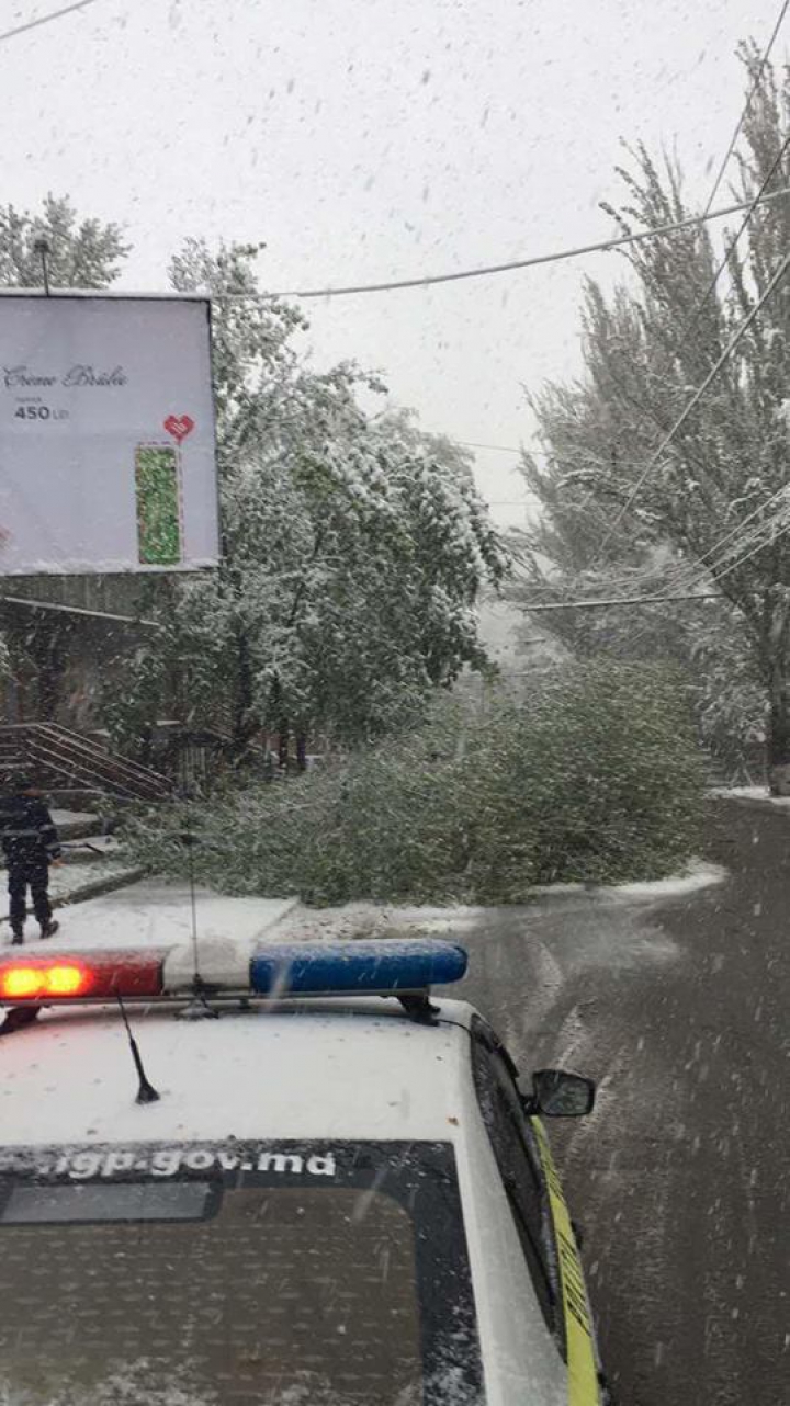 Ninsori abundente şi răcire bruscă a vremii în toată ţara. Cum au intervenit autoritățile