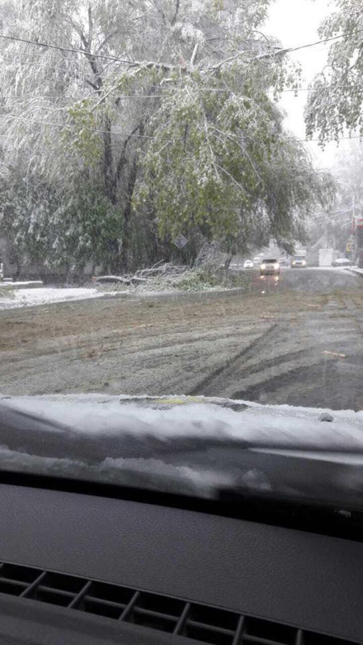 COD GALBEN DE NINSOARE în toată ţara. Situația pe trasee la această oră (FOTO)