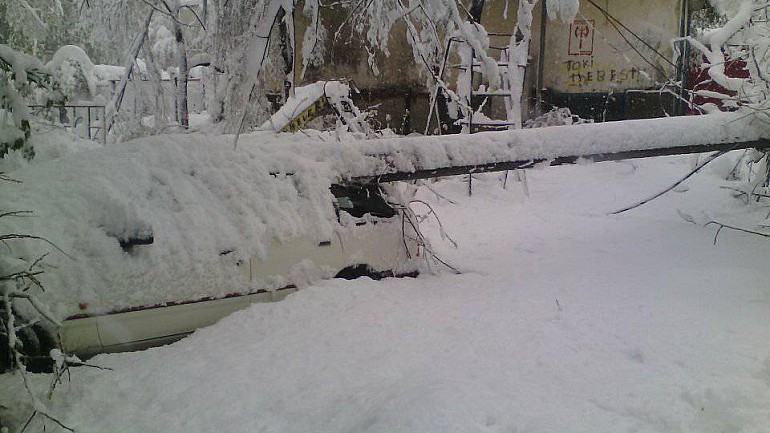 COD PORTOCALIU DE NINSORI ÎN APRILIE! TRANSPORTUL PUBLIC ÎN CHIȘINĂU A FOST RELUAT.  