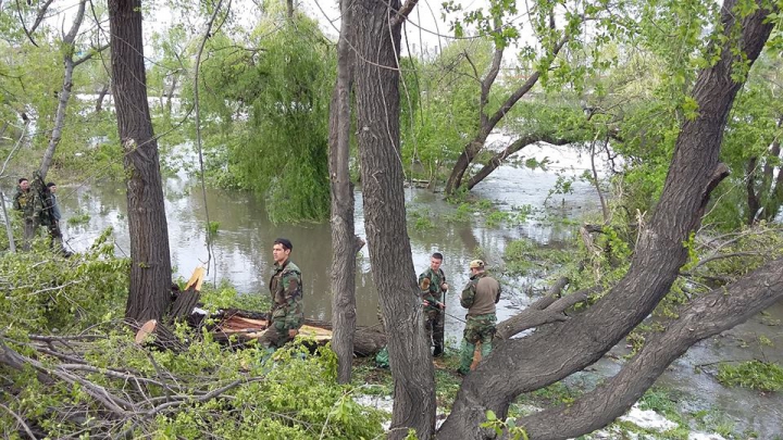 Situaţia la ORA ACTUALĂ, ca urmare a NINSORILOR.  244 de sate, fără curent electric (GALERIE FOTO)