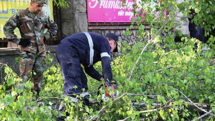 A patra zi de MOBILIZARE GENERALĂ! Cum au decurs lucrările de salubrizare a Capitalei (FOTO/VIDEO)