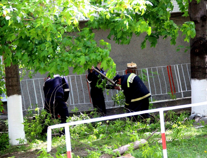 A patra zi de MOBILIZARE GENERALĂ! Cum au decurs lucrările de salubrizare a Capitalei (FOTO/VIDEO)