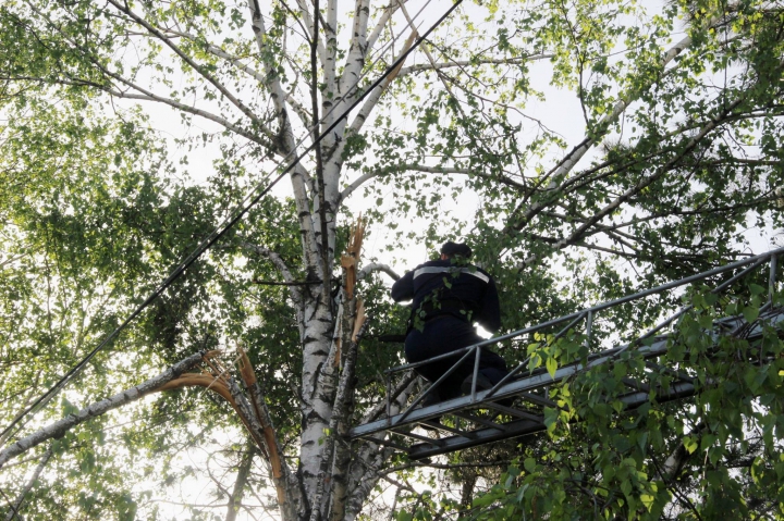 A patra zi de MOBILIZARE GENERALĂ! Cum au decurs lucrările de salubrizare a Capitalei (FOTO/VIDEO)