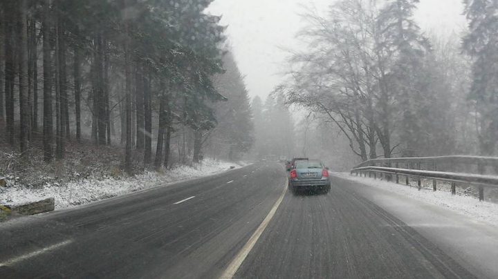 Ninge la munte! Imagini surprinse de martori oculari (VIDEO)