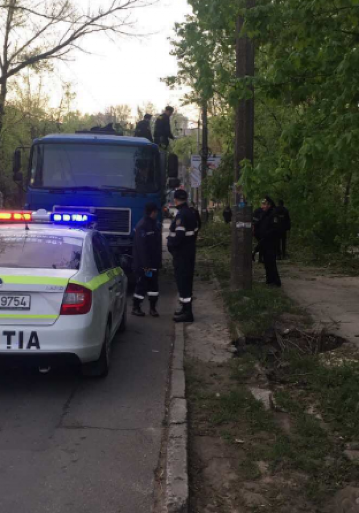 MOBILIZARE GENERALĂ în Capitală după URGIA ALBĂ. Sute de salvatori, militari şi poliţişti muncesc de zor (FOTO)