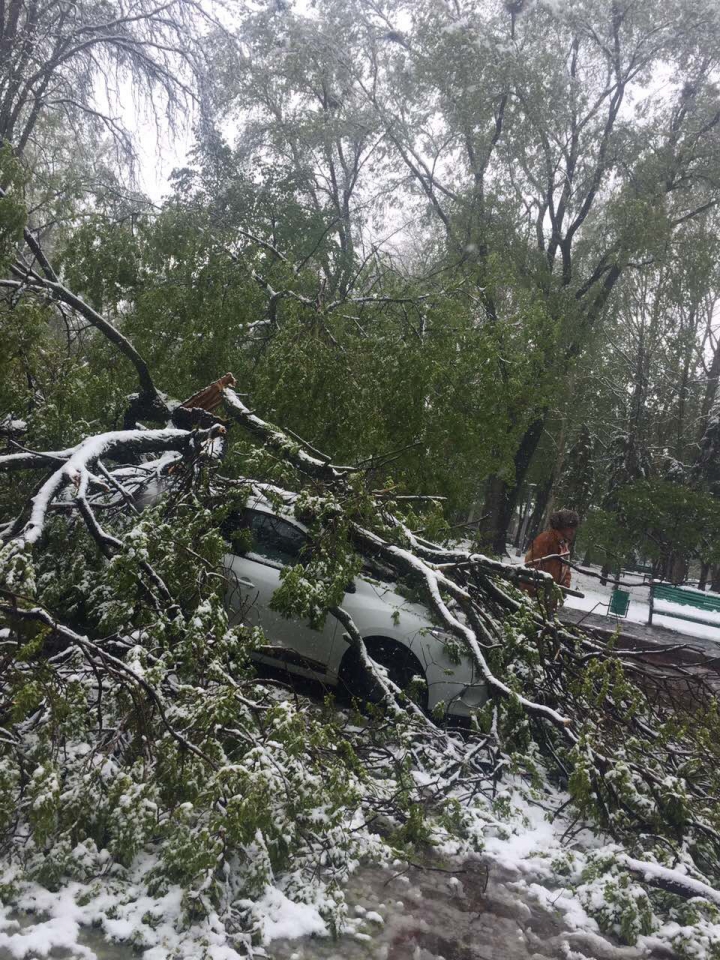 Ninsoarea abundentă a paralizat Capitala. Care sunt cele mai afectate sectoare (FOTO)