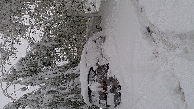 COD PORTOCALIU DE NINSORI ÎN APRILIE! TRANSPORTUL PUBLIC ÎN CHIȘINĂU A FOST RELUAT.