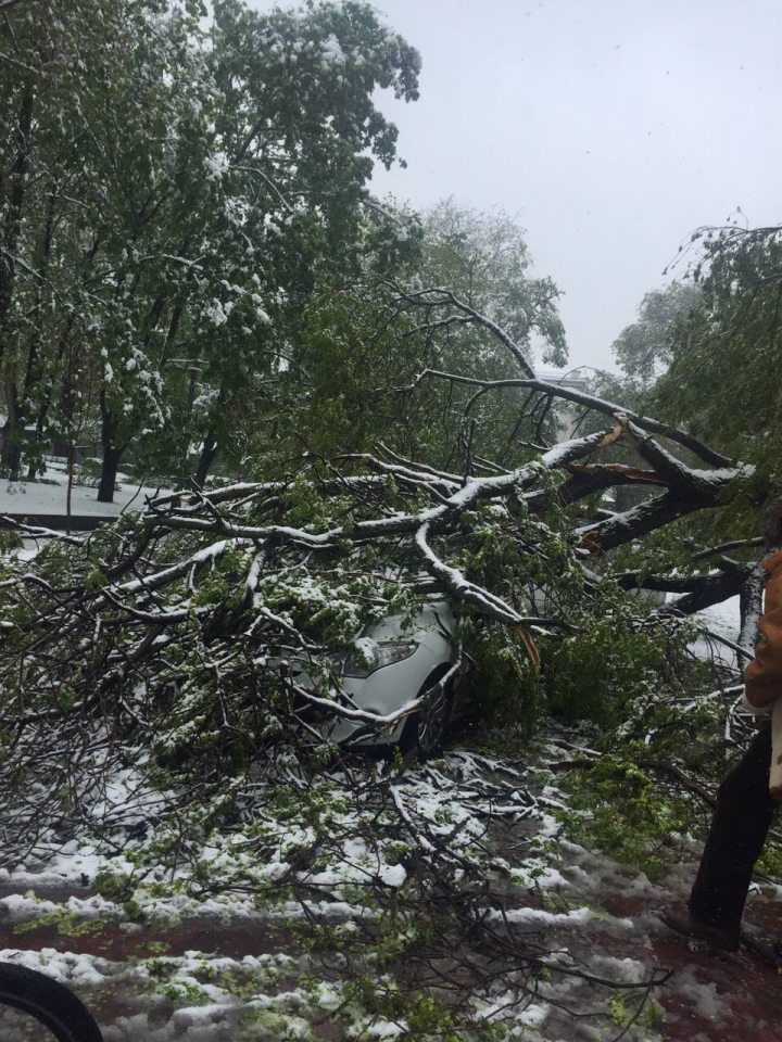 Ninsoarea abundentă a paralizat Capitala. Care sunt cele mai afectate sectoare (FOTO)