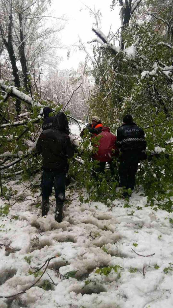 Viscolul şi ninsoarea continuă! Angajaţii INP lucrează în REGIM SPORIT. Câte DERAPĂRI și ACCIDENTE au fost înregistrate