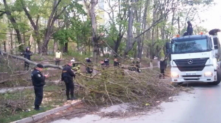 REACŢIA cetăţenilor după intervenţia generală la înlăturarea consecinţelor calamitaţilor naturale (VIDEO)