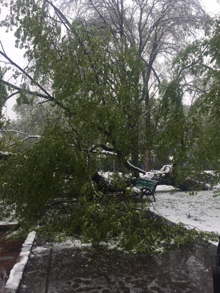 Ninsoarea abundentă a paralizat Capitala. Care sunt cele mai afectate sectoare (FOTO)