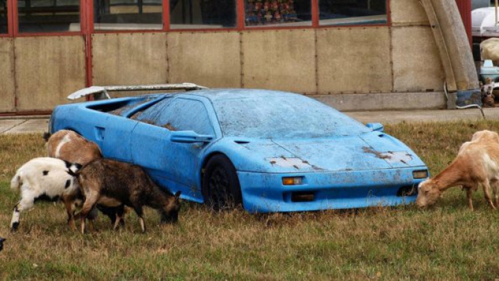 Au găsit un Lamborghini pe un câmp. Când au văzut ce se află înăuntru au rămas UIMIŢI