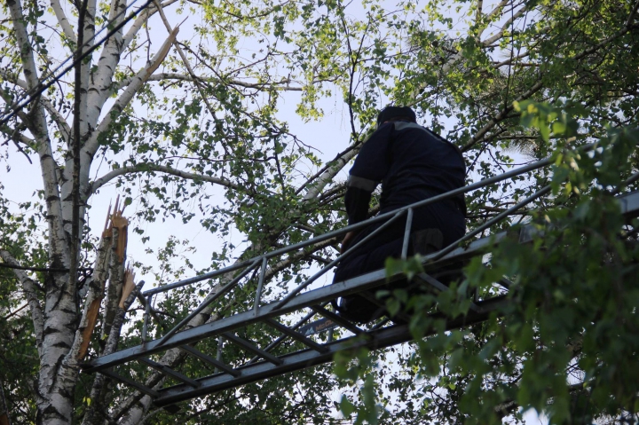 A patra zi de MOBILIZARE GENERALĂ! Cum au decurs lucrările de salubrizare a Capitalei (FOTO/VIDEO)