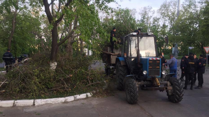 MOBILIZARE GENERALĂ în Capitală după URGIA ALBĂ. Sute de salvatori, militari şi poliţişti muncesc de zor (FOTO)