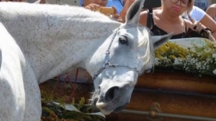 Un cal a fost adus la înmormântarea stăpânului său! Oamenii au rămas muţi de uimire când au văzut ce face animalul (VIDEO)