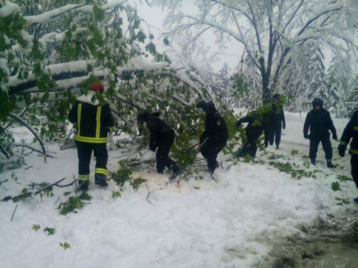 Angajații Ministerului de Interne INTERVIN ÎN FORȚĂ pentru deblocarea drumurilor și ajutarea oamenilor (GALERIE FOTO)