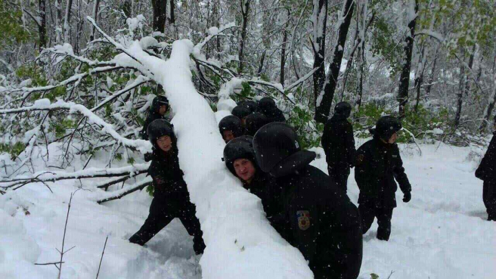 Angajații Ministerului de Interne INTERVIN ÎN FORȚĂ pentru deblocarea drumurilor și ajutarea oamenilor (GALERIE FOTO)