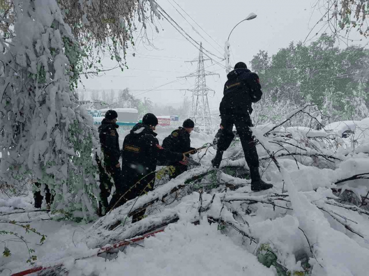 Angajații Ministerului de Interne INTERVIN ÎN FORȚĂ pentru deblocarea drumurilor și ajutarea oamenilor (GALERIE FOTO)