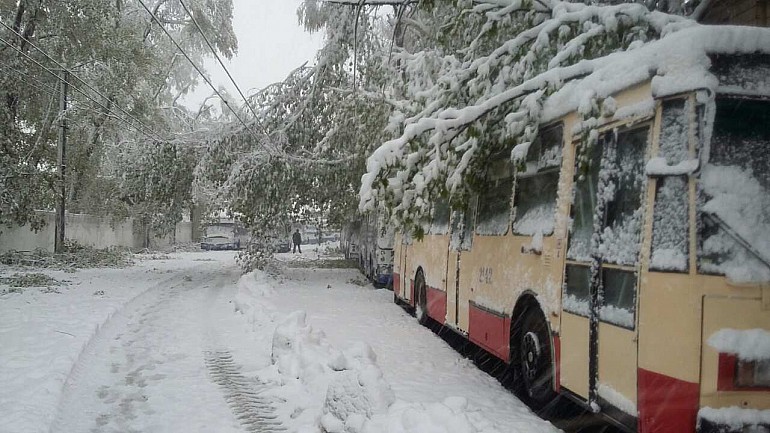 COD PORTOCALIU DE NINSORI ÎN APRILIE! TRANSPORTUL PUBLIC ÎN CHIȘINĂU A FOST RELUAT.  