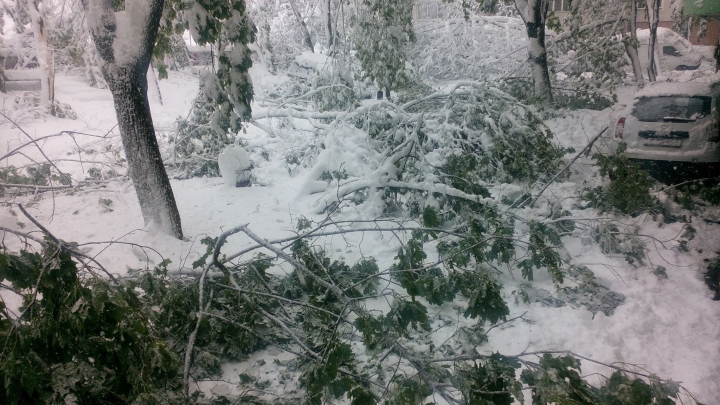 COD PORTOCALIU DE NINSORI ÎN APRILIE! TRANSPORTUL PUBLIC ÎN CHIȘINĂU A FOST RELUAT.  