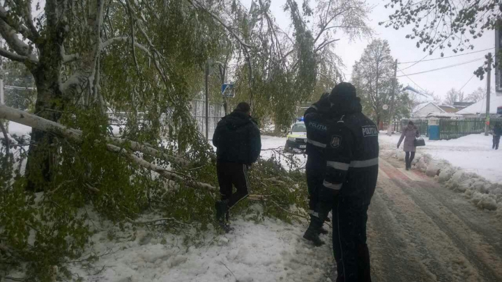 IMAGINI APOCALIPTICE de pe drumurile din Moldova. AUTORITĂȚILE INTERVIN IN FORȚĂ pentru a scoate lumea din nămeți