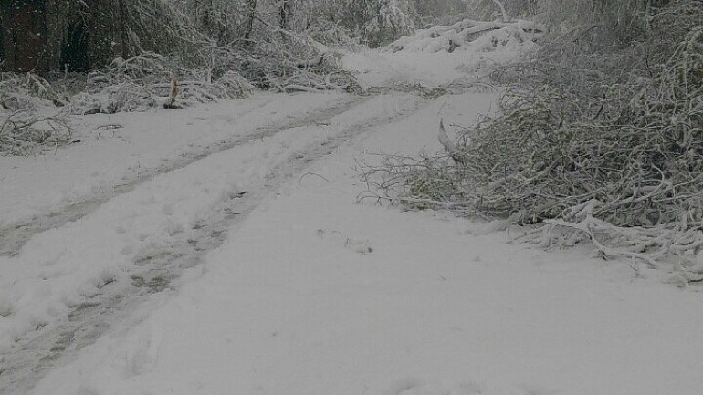 COD PORTOCALIU DE NINSORI ÎN APRILIE! TRANSPORTUL PUBLIC ÎN CHIȘINĂU A FOST RELUAT.  