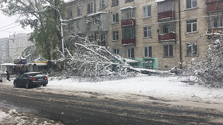 COD PORTOCALIU DE NINSORI ÎN APRILIE! TRANSPORTUL PUBLIC ÎN CHIȘINĂU A FOST RELUAT.  