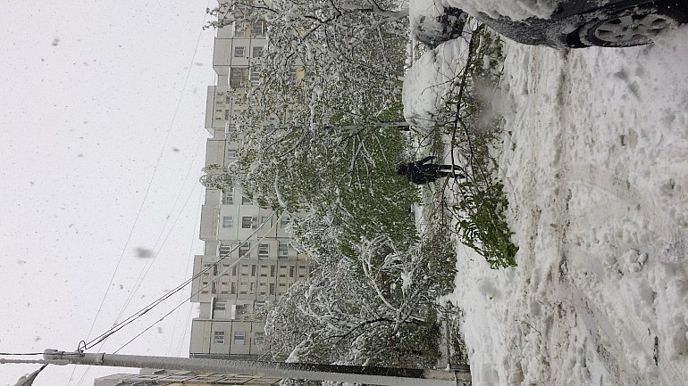 COD PORTOCALIU DE NINSORI ÎN APRILIE! TRANSPORTUL PUBLIC ÎN CHIȘINĂU A FOST RELUAT.  