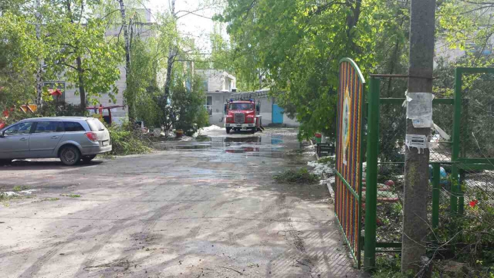 Autorităţile Capitalei, ÎN FORŢĂ! Străzile care au fost curăţate de copacii doborâţi în urma ninsorii (GALERIE FOTO)