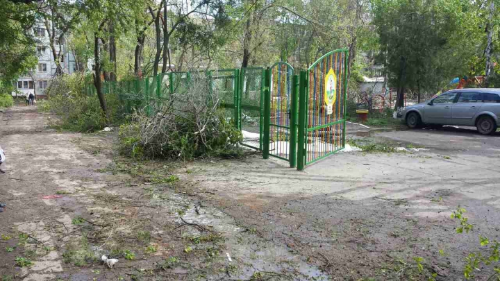 Autorităţile Capitalei, ÎN FORŢĂ! Străzile care au fost curăţate de copacii doborâţi în urma ninsorii (GALERIE FOTO)